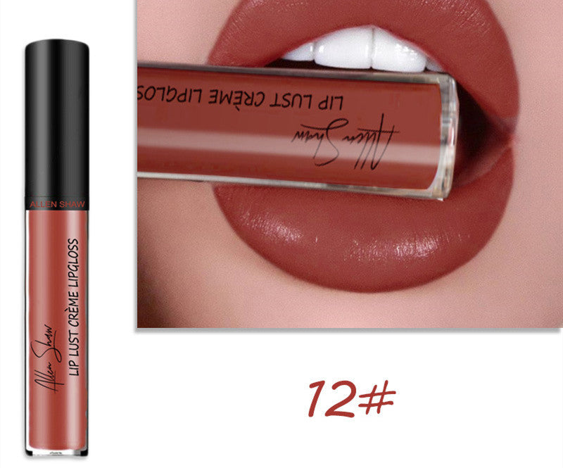 Brillant à lèvres à texture crème soyeuse Aliexpress Shopee Cross-Border Exclusive Lip Glaze Lip Gloss Rouge à lèvres