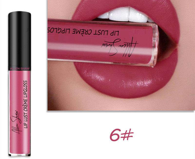 Brillant à lèvres à texture crème soyeuse Aliexpress Shopee Cross-Border Exclusive Lip Glaze Lip Gloss Rouge à lèvres