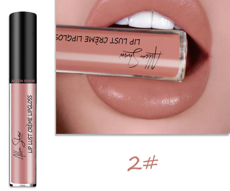 Brillant à lèvres à texture crème soyeuse Aliexpress Shopee Cross-Border Exclusive Lip Glaze Lip Gloss Rouge à lèvres