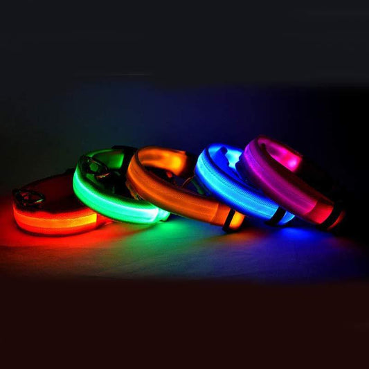 Collier lumineux en nylon pour chien avec LED, sécurité nocturne clignotante, laisse pour chien et chat, accessoires pour animaux ajustables.