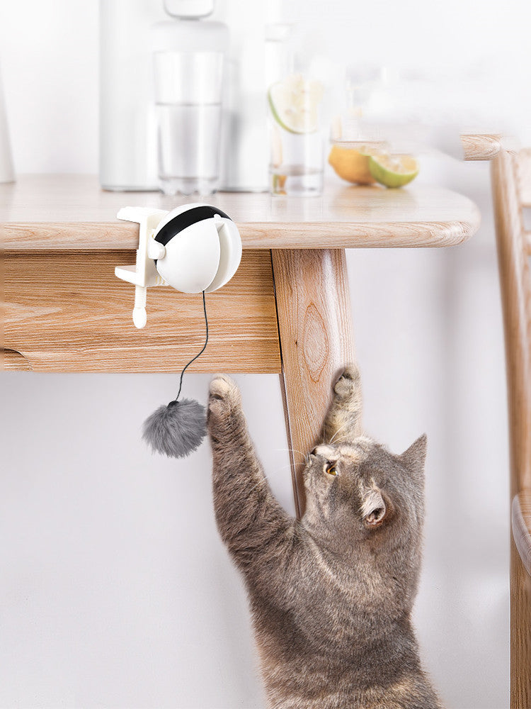 Jouet interactif pour chat à mouvement de levage automatique électrique, puzzle intelligent, balle de teasing pour animaux de compagnie, fournitures pour animaux, jouets de levage.