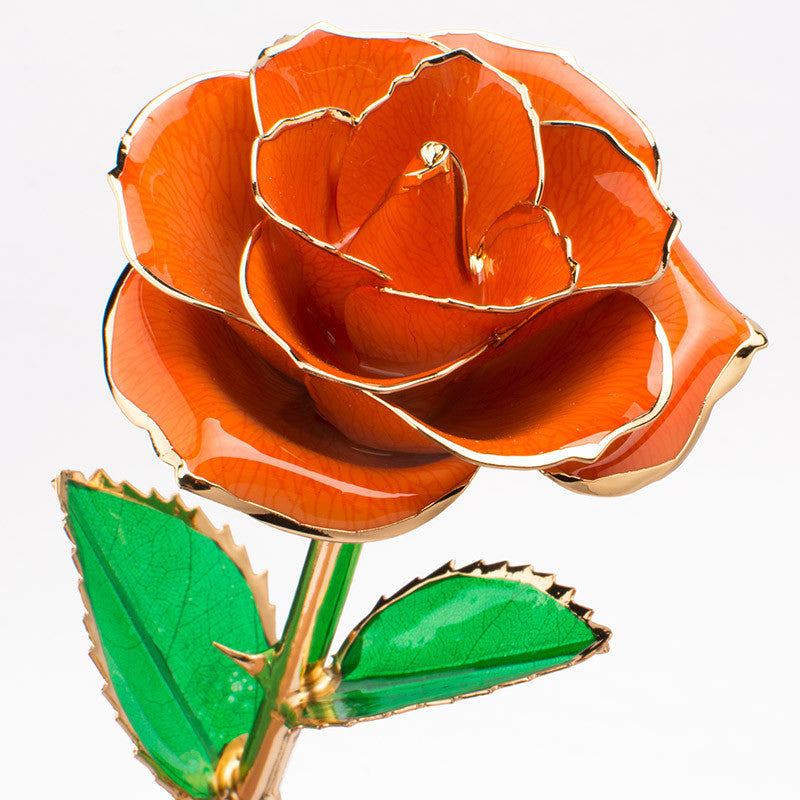 Fleur de rose plaquée or 24 carats avec un coffret cadeau Cadeau de Saint-Valentin