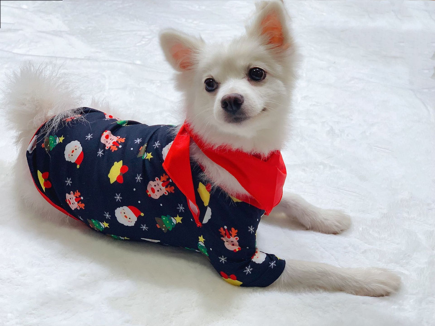 Ensemble de pyjamas assortis de Noël pour la famille, pyjamas de Noël pour la famille, vêtements de nuit de Noël.