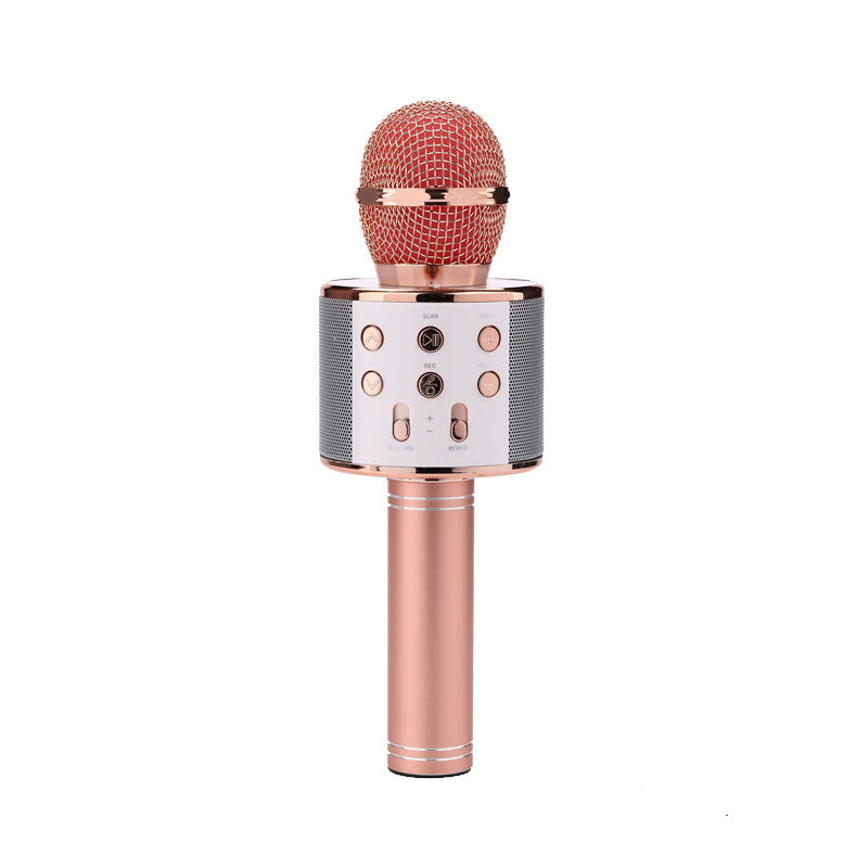 Microphone sans fil portable Bluetooth Mini Home Ktv pour jouer de la musique, chanter, haut-parleur