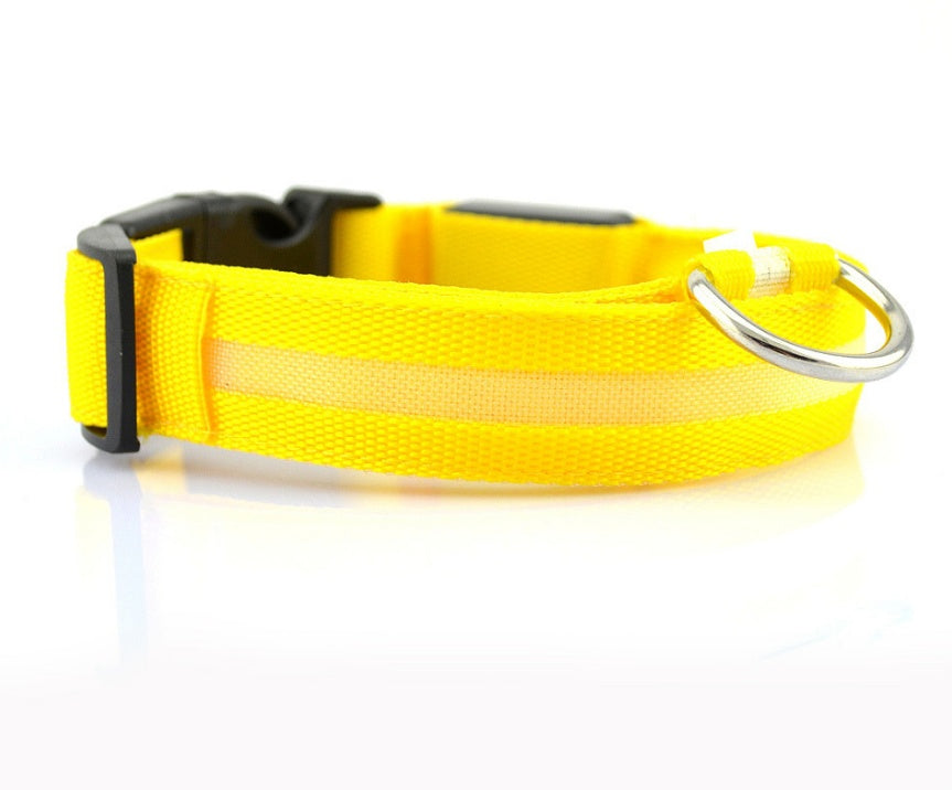 Collier lumineux en nylon pour chien avec LED, sécurité nocturne clignotante, laisse pour chien et chat, accessoires pour animaux ajustables.