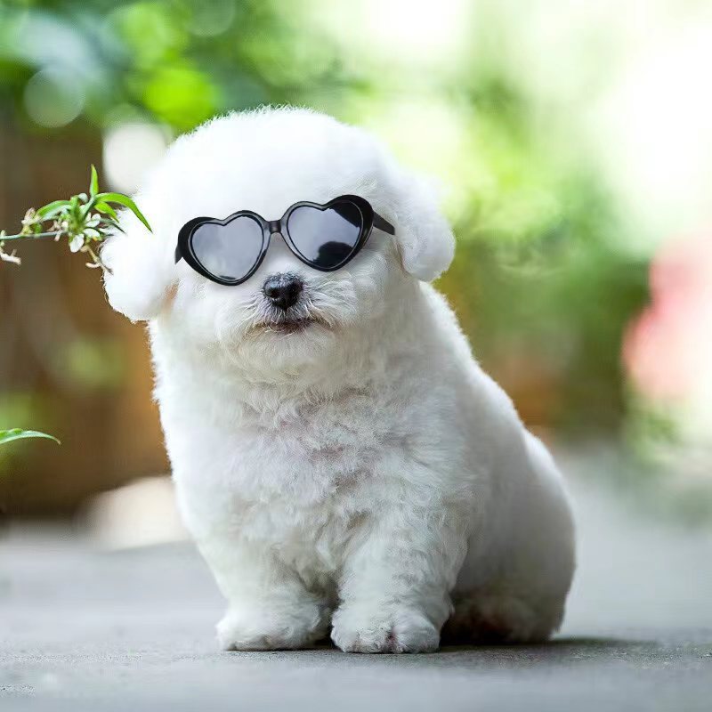 Accessoires de jouets pour animaux en lunettes de poupée.