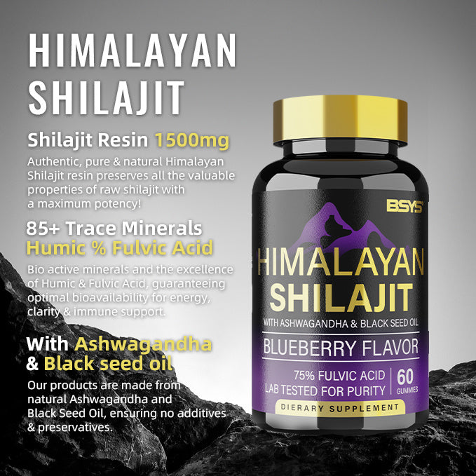 GOMMES SHILAJIT BSYS 60'S