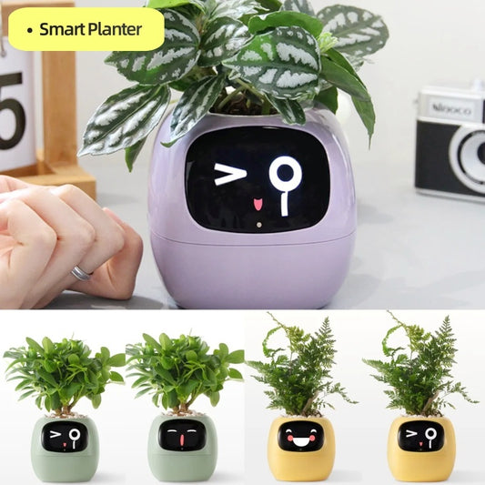 Planificateur Intelligent Amusement Inépuisable Plus de 49 Expressions Riches 7 Capteurs Intelligents et Puces AI Facilitent et Rendent Agréable la Culture des Plantes