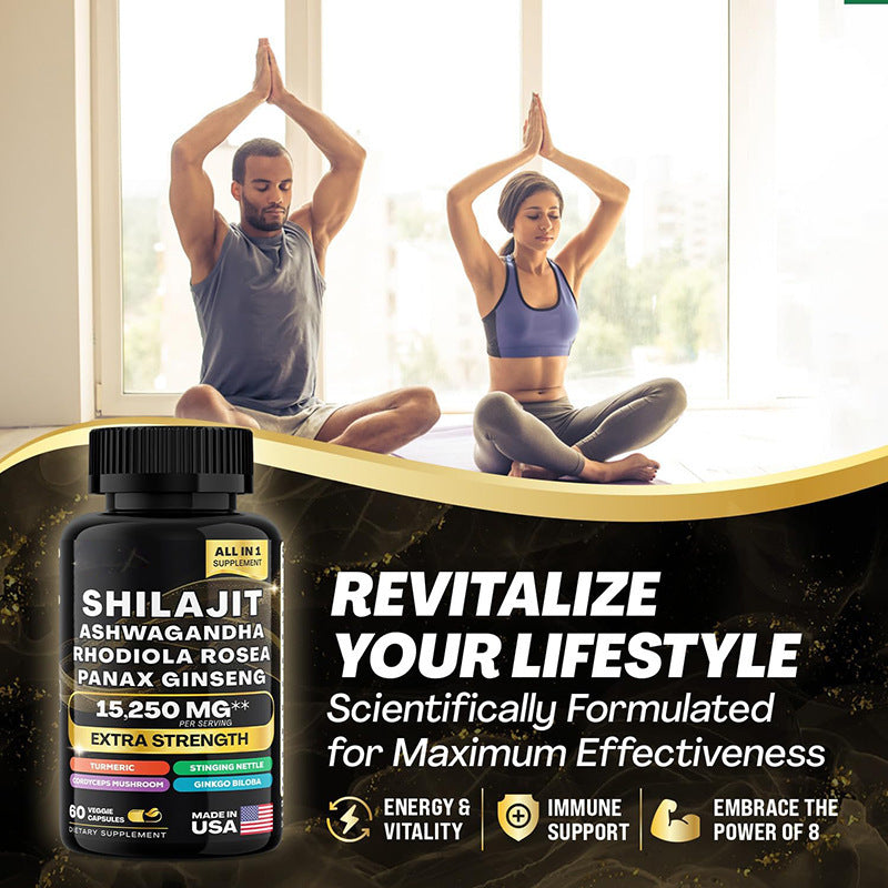 Shilajit Pure Himalayan 9000MG, Booster d'énergie Ashwagandha 2000MG, Rhodiola Rosea 999MG, Panax Ginseng 1500MG, Curcuma 500MG, Ginkgo Biloba 500MG, Ortie 250MG Champignon Cordyceps 500