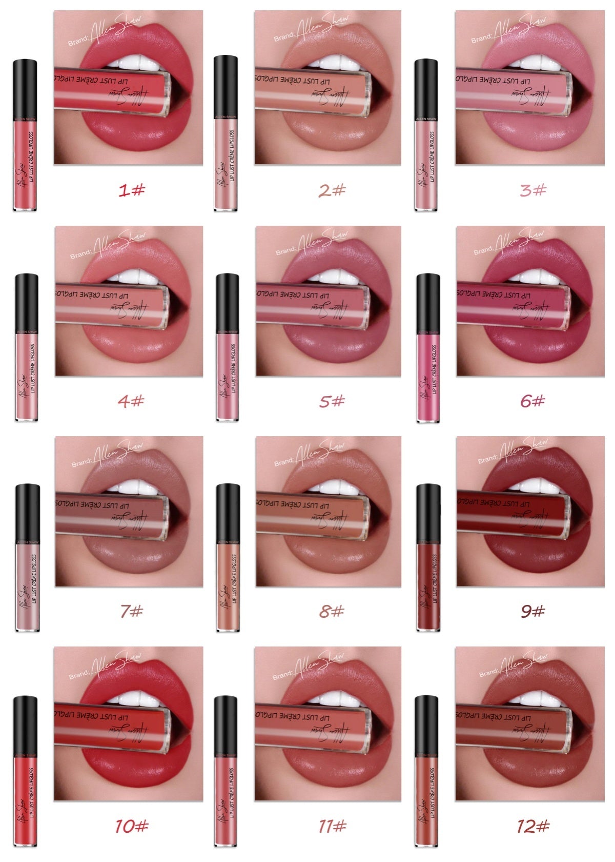 Brillant à lèvres à texture crème soyeuse Aliexpress Shopee Cross-Border Exclusive Lip Glaze Lip Gloss Rouge à lèvres