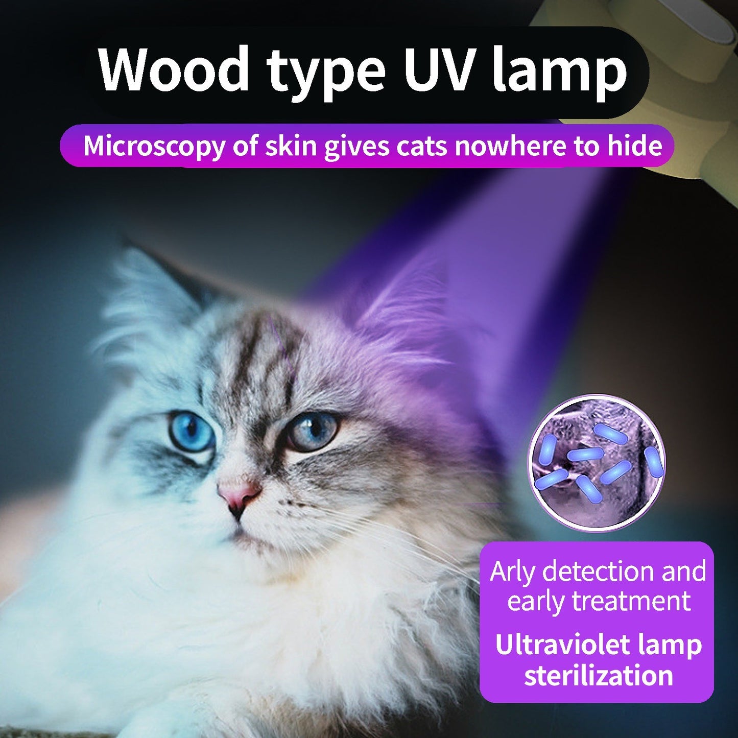 Peigne stérilisant germicide pour animaux de compagnie, rechargeable par USB, brosse automatique pour l'élimination des poils de chat et de chien, outil de toilettage à flotter.