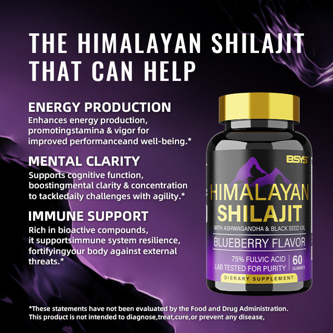 GOMMES SHILAJIT BSYS 60'S