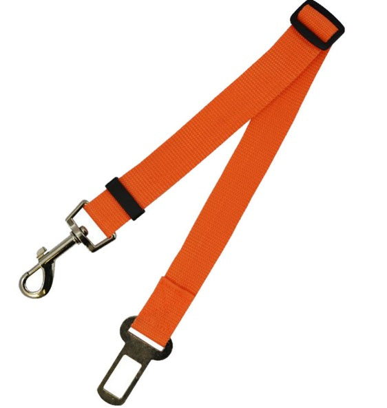 Sangle fixe en polyester pour chien, laisse pour chien.