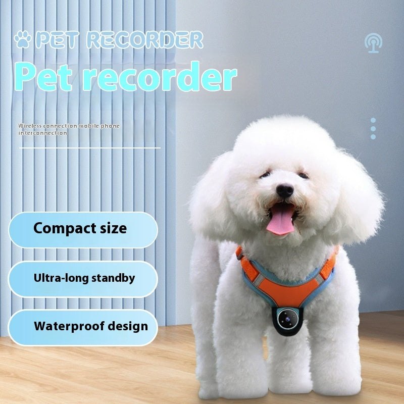 Enregistreur d'animaux de compagnie, collier de suivi pour chiens et chats, caméra d'enregistrement de mouvement avec angle de vue, caméra d'action avec enregistrements vidéo, colliers de chat, produits pour animaux de sport.