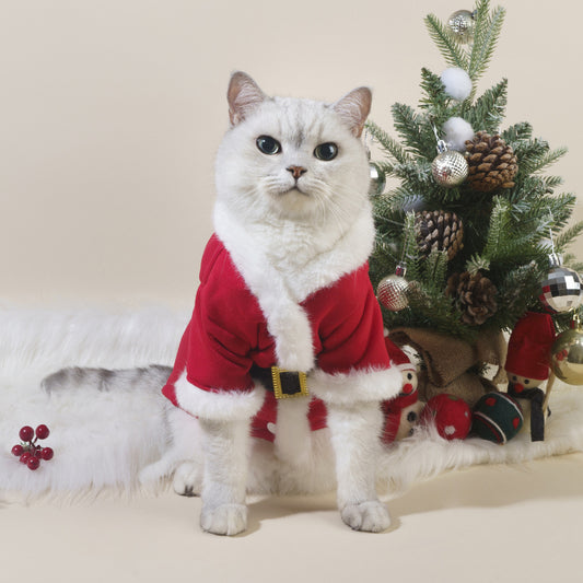 Vêtements pour animaux de compagnie pour Noël automne et hiver chat chien.