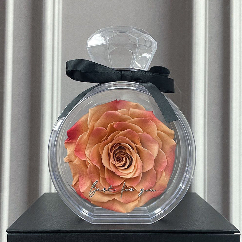 Ornements de fleurs naturelles éternelles avec couvercle transparent, boîte cadeau de rose séchée pour Noël, Nouvel An, Saint-Valentin, décoration intérieure.