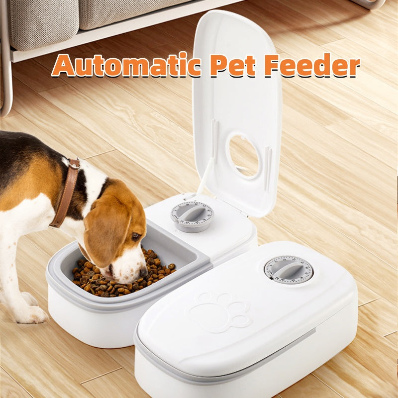 Distributeur automatique de nourriture intelligent pour chats et chiens avec minuterie, bol en acier inoxydable, alimentation automatique pour animaux de compagnie.