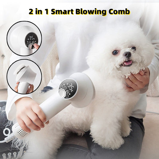 Sèche-cheveux intelligent pour animaux de compagnie, toilettage de chien Golden Retriever, toilettage de chat, souffleur et peigne silencieux, sans danger, fournitures de nettoyage pour animaux de compagnie, produits pour animaux.