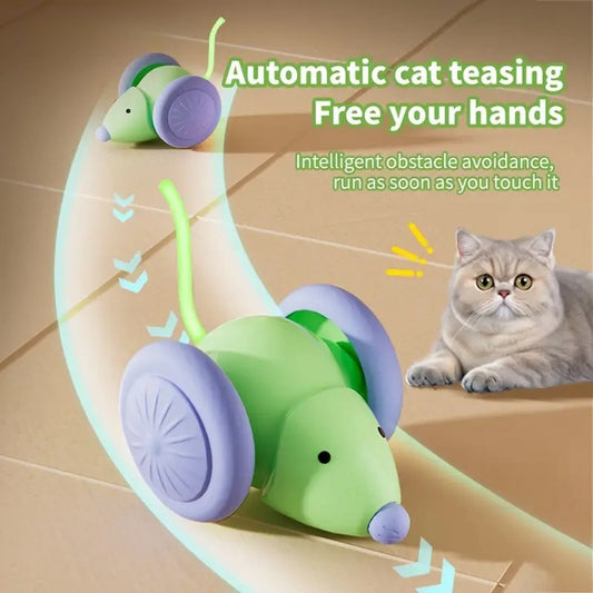 Jouets pour animaux de compagnie Jouet interactif pour chat Souris électrique Voiture - Teaser automatique avec évitement intelligent des obstacles Produits pour animaux de compagnie