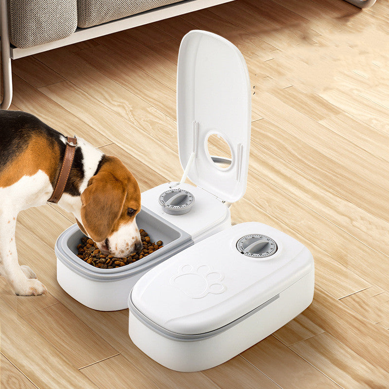 Distributeur automatique de nourriture intelligent pour chats et chiens avec minuterie, bol en acier inoxydable, alimentation automatique pour animaux de compagnie.