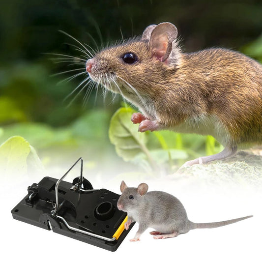 Pièges à rats et à souris durables pour la maison et la vie domestique - KaoKao